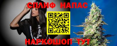 прущие грибы Абинск