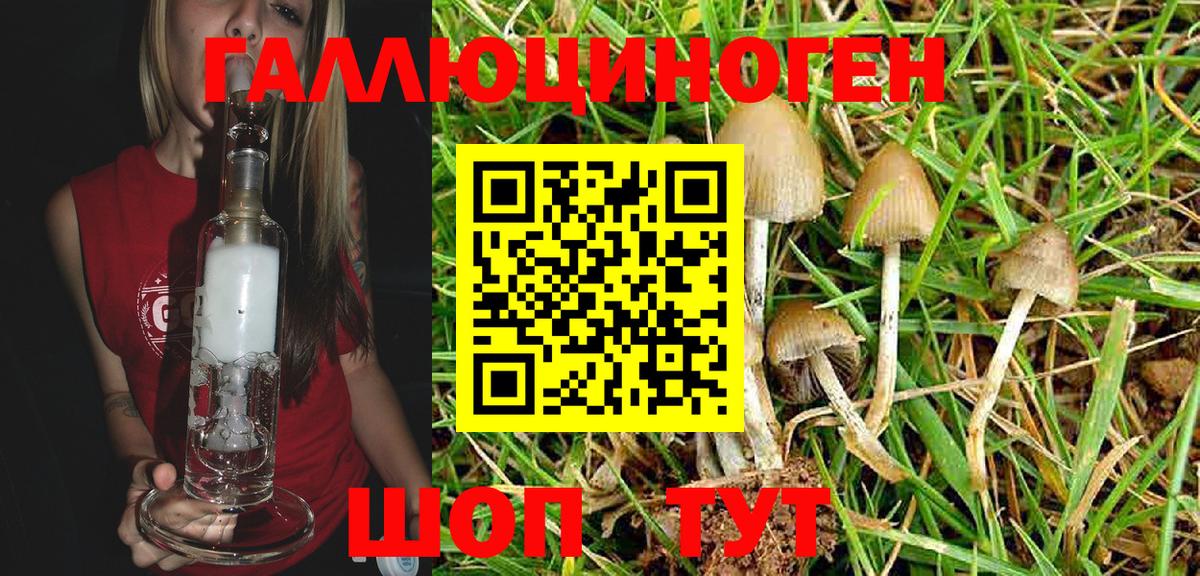 Галлюциногенные грибы мухоморы  Псилоцибиновые грибы Psilocybe  Вход с VPN  Абакан 