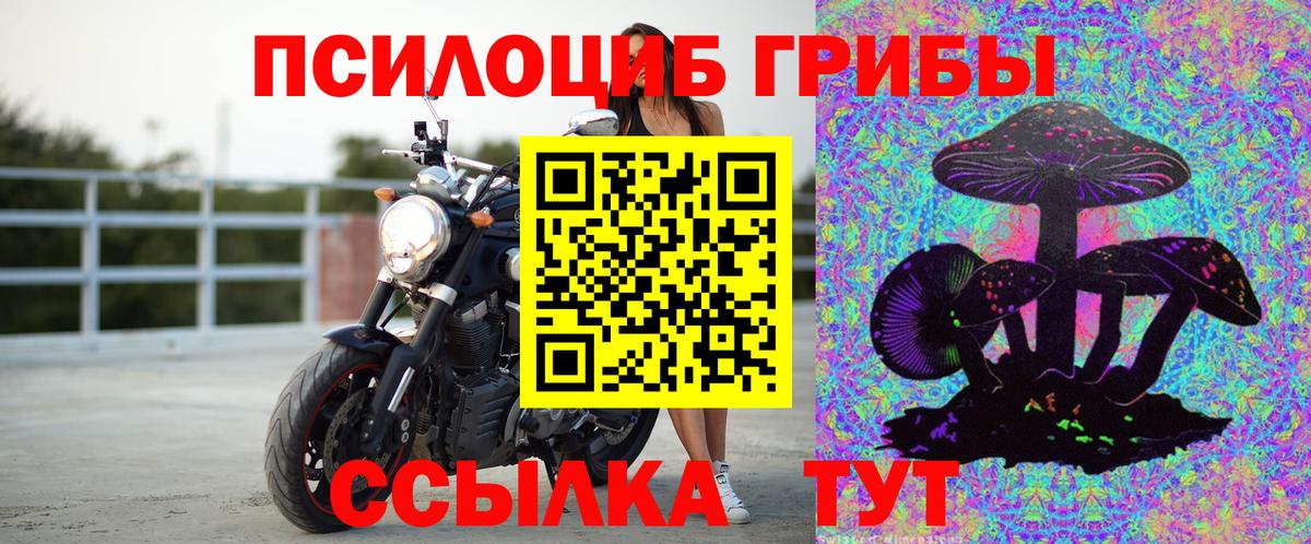 Псилоцибиновые грибы прущие грибы Абакан